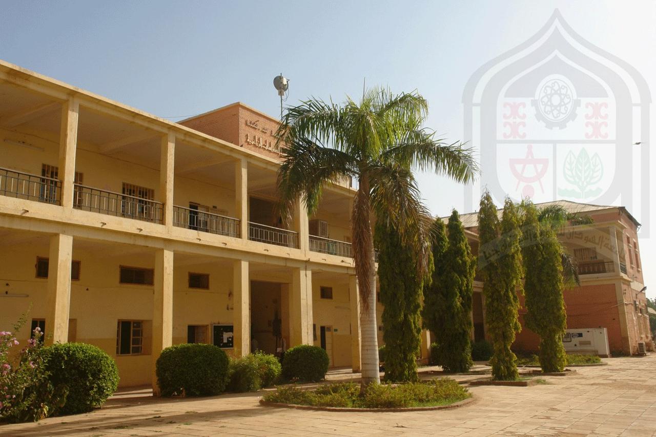 Vision Mission Objectives