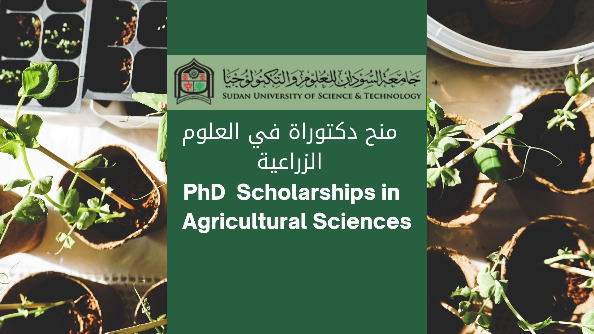 منح الدكتوراة في العلوم الزراعية