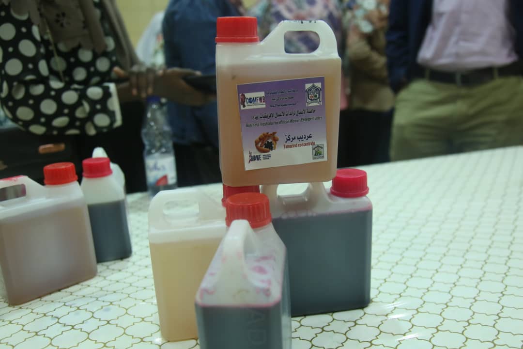 جامعة السودان تختتم دورة التصنيع الغذائي لرائدات الأعمال بكلية الدراسات الزراعية