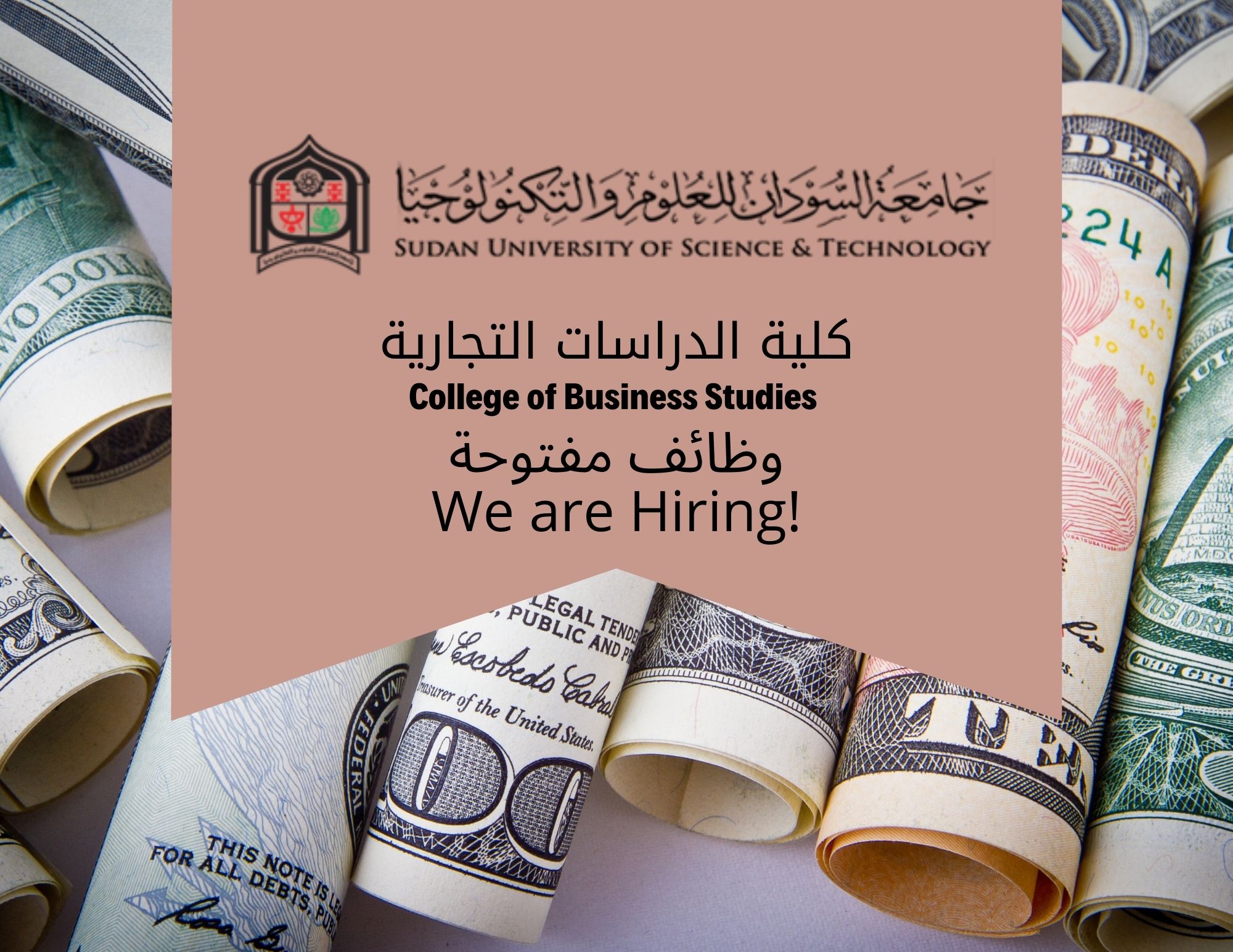 فرص توظيف: كلية الدراسات التجارية